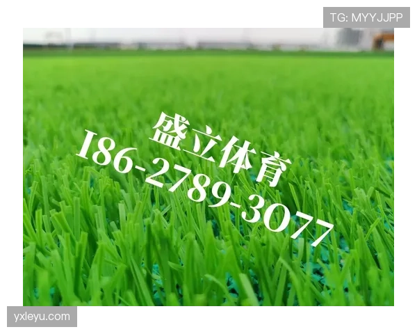 人工草场上的足球规则有哪些特别之处?规则拆解全解析 人工草场上的足球规则有哪些特别之处?规则拆解全解析